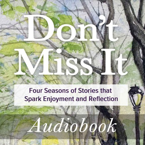 Audiobook | Don’t Miss It